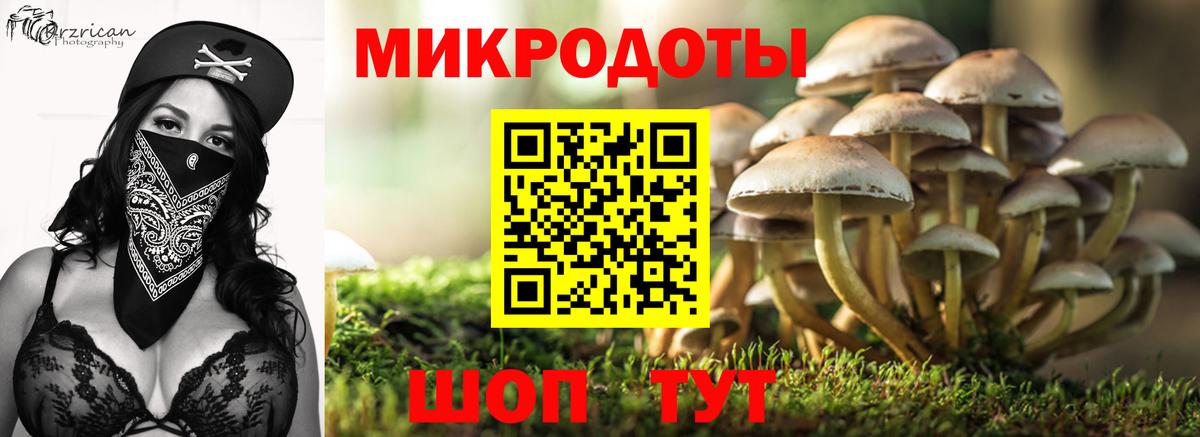 Нижний Новгород  Псилоцибиновые грибы ЛСД  Вход с VPN 